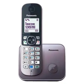 Радиотелефон PANASONIC KX-TG6811 (RUM) Серый металик