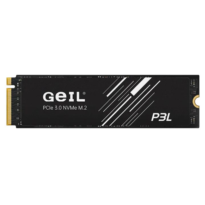 1 000 GB SSD GEIL P3L M.2 2280 PCIe3.0 NVMe R3500MB/s W2700MB/s P3LFD16I1TBD