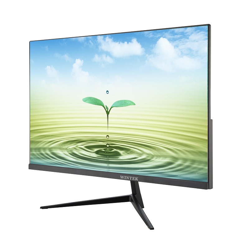 Монитор 23,8" Wintek CM24F17 V2, 1920*1080, IPS, 16:9, 250, 1000:1, 5ms, 100Hz, HDMI+VGA