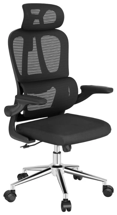 Офисное кресло FLEXISPOT OC19B Black <Сетка, Ткань, подлокотник откидной>